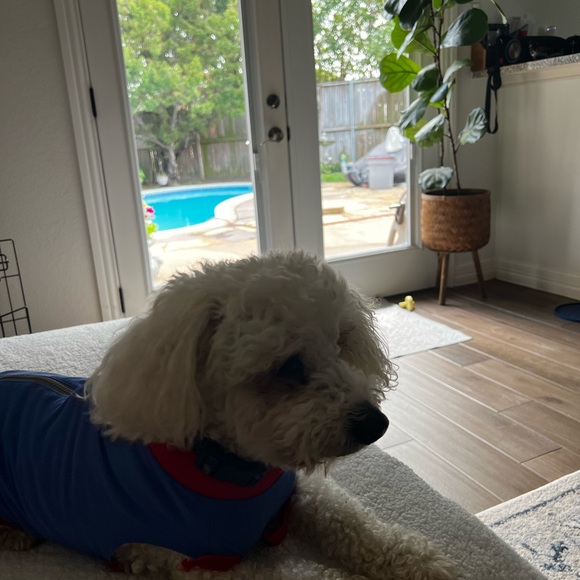 Houston, Tx 🔥 NASA, #1 Medical Center, Astros ⚾️, and Eddie’s Posh Show!!! 🔥 - Picture 9 of 17